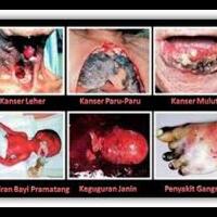 cowo-lebih-suka-cewe-ditato-gambar-apa-bantu-kasih-masukan-boyz