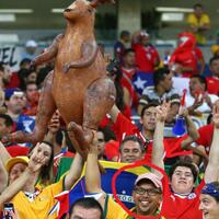 berbagai-aksi--ekspresi-quotgilaquot-para-supporter-di-piala-dunia-brazil-2014-best-pict