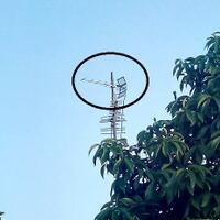 review--discuss-huawei-e5172-lte-4g-tdd-2300mhz