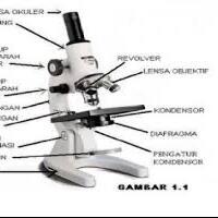 sayembara-buat-yang-bisa-baca-capcay-ini-d