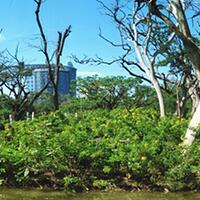 official-lounge-xiaomi-redmi-1s---quotmission-impossiblequot---part-2