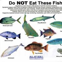 alasan-mengapa-babi-itu-haram