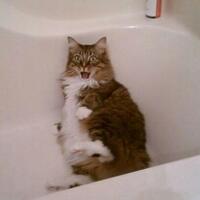 tempat-ngobrolnya-anak-depok