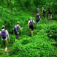 berjalan-di-alam-terbuka-tingkatkan-daya-ingat