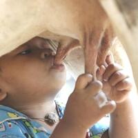 konser-gratis-jokowi---jk-di-gbk--5-juli-2014