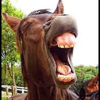 jokowi-kenapa-anda-berbohong-dan-kenapa-anda-sombong