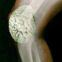 jokowi-jujurlah---bus-karatan--kpk