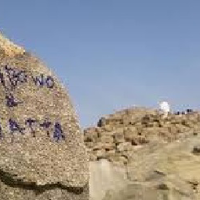 quick-count-di-arab-saudi-menang-75-benarkah