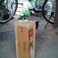 kampung-anggur----part-2