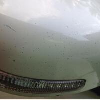 suzuki-sx4-kaskus-owners-community-indonesia-skoci---part-1