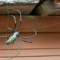 kavling-fujifilm---part-3