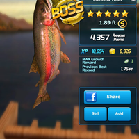 ios---android-ace-fishing--wild-catch---ultimate-3d-fishing-adventure