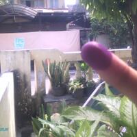post-image