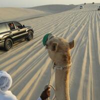 kekayaan-qatar-tidak--menjanjikan--kebahagian