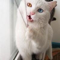 lounge-panggon-ngobrol-kaskus-reg-bromo--follow-kaskusregbromo