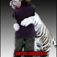 permintaan-maaf-ane-selesaikan-disini