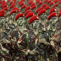 jokowi-siap-kirim-tank-anoa-ke-gaza