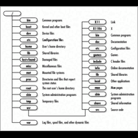 struktur-direktori-os-linux