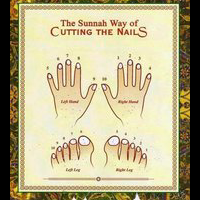 cara-memotong-kuku-menurut-sunnah-rasul