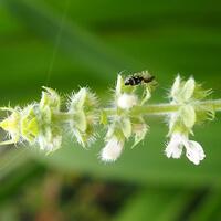 rumah-olympus---part-3