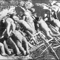 kumpulan-stereotype-tolol-di-sekitar-kita