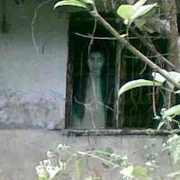 kaskuser-yang-jadi-korban-karena-memihak-prabowo---hatta-silahkan-ditambahkan---part-2