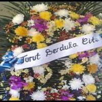 foto-foto-asli-dari-tkp-jatuhnya-pesawat-malaysia-airlines-mh17-di-ukraina-update