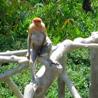 new-bpln-lounge-room-250