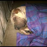 bacotanjuki-5-manfaat-sarung-selain-untuk-sholat