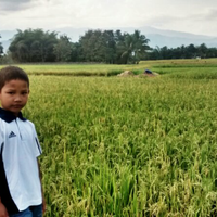 official-lounge-motorola-moto-g---exceptional-phone-exceptional-price