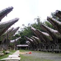 berkunjung-ke-toraja