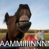 prabowo-harus-jadi-presiden-ri-7-gitu-banget-wajib--terus-harus-gimana--pic