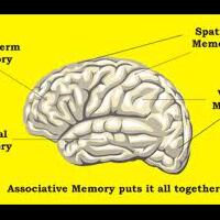 manfaat--manfaat-dari-membaca-buku--menjadi-pintar-langsing-sehat-bahagia