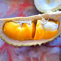 new-bpln-lounge-room-250