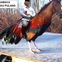 hayolohh-blunder-lagi-bawaslu-siap-laporkan-balik-tim-advokasi-prabowo