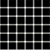 tes-mata-dulu-gan-yuk-masuk