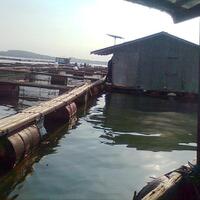 kfc-reg-solo---part-5