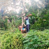 thread-pengumpulan-foto-quothuman-interestquot