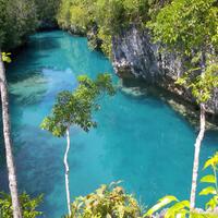 kolam-renang-alami-natural