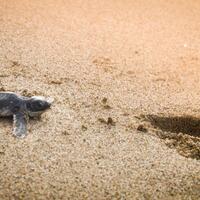 rumah-olympus---part-3