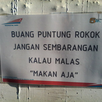 siapa-yang-doyan-puntung-rokok