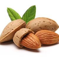 khasiat-dan-manfaat-kacang-almond