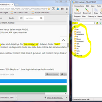 review-dan-diskusi-modem-zte-mf825a-bolt-lte-tdd-fdd-100-mbps
