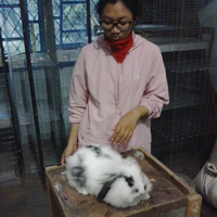 rcc-rabbit-lover---part-3