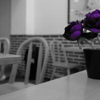 kavling-fujifilm---part-3