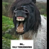 bukan-untuk-wowo-ini-kado-samsung-untuk-jokowi