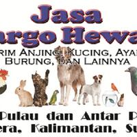 testimonial----------jasa-kurir-jasa-cod-saceexpresscoid--paling-terpercaya