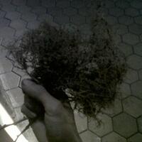 kampung-anggur----part-2