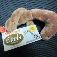 5-virus-yang-lebih-mematikan-dari-ebola