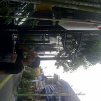 tunjukkin-rasa-nasionalisme-lo-di-quotkaskus-17-agustus-hormat-grakquot